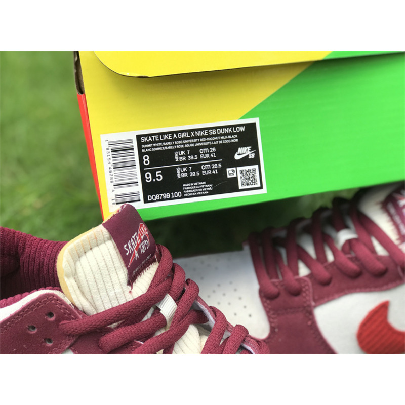 Nike Dunk Low DQ8799-100