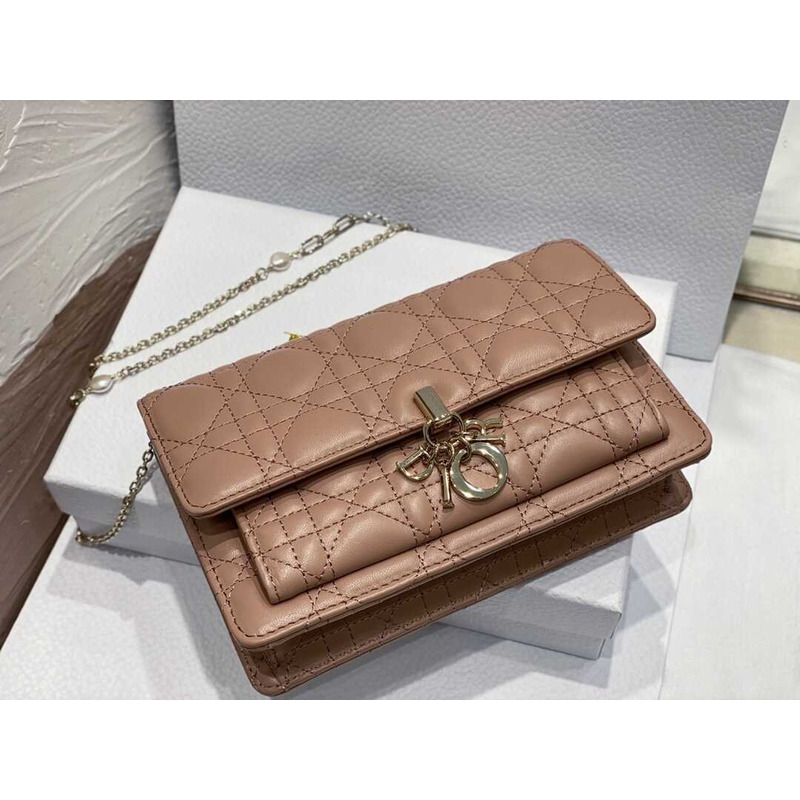 D*or hazelnut lady bag