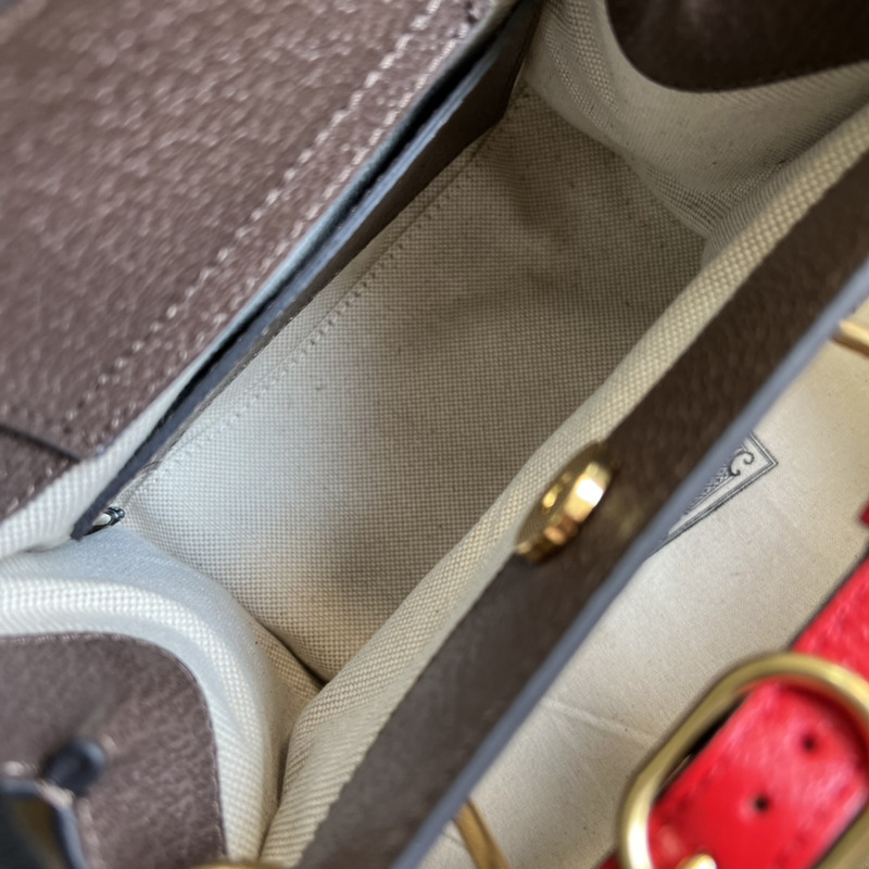 G*u*i diana jumbbo gg mini tote bag