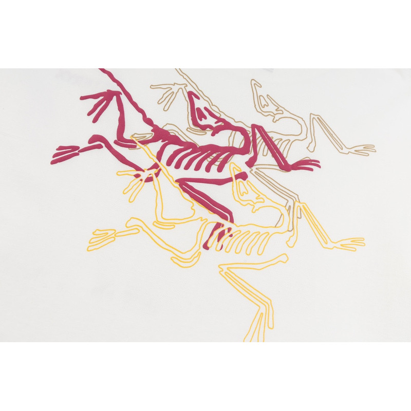 Arcteryx Print Logo T Shirt White