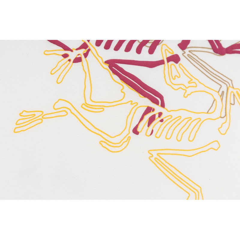 Arcteryx Print Logo T Shirt White