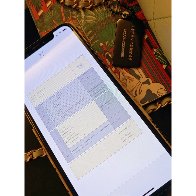 Ch*el 2022 quilted cc hobo sohoulder bag white