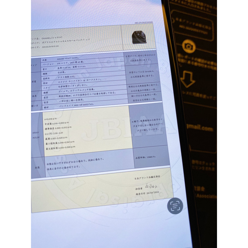 Ch*el gabrielle backpack black