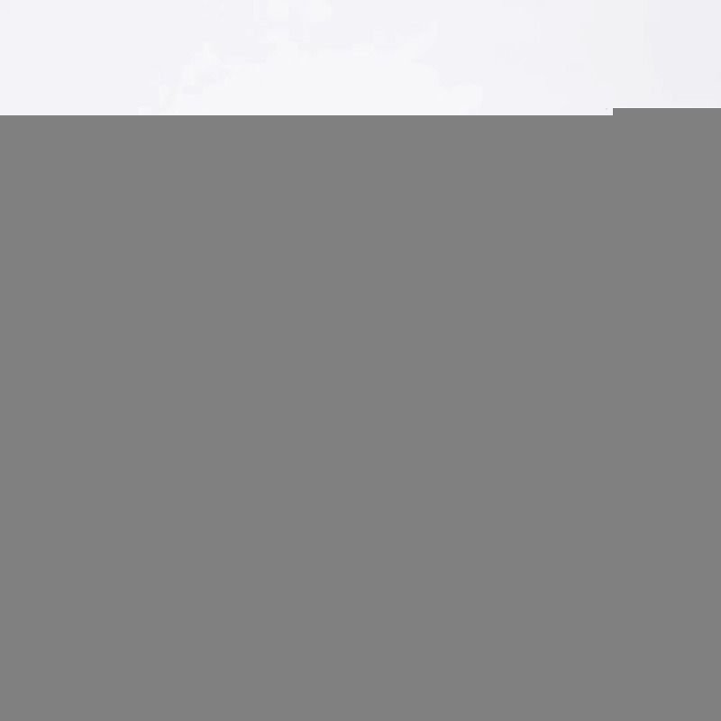 Alexander McQueen Sneaker(Suede Navy Blue Back)