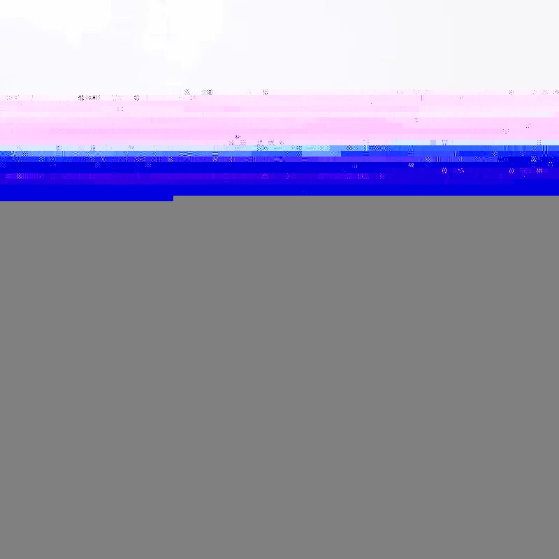 Alexander McQueen Sneaker(Suede Navy Blue Back)