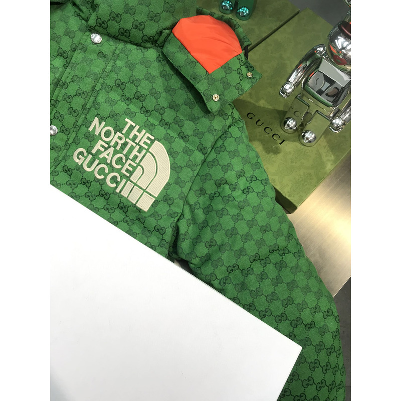 the n0*h F**e x g*u*i edition down jacket