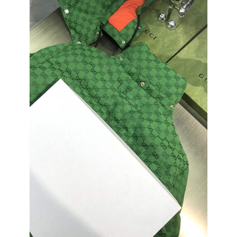 the n0*h F**e x g*u*i edition down jacket