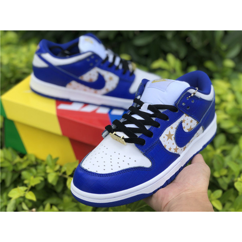 S*p*e x nike sb dunk low dh3228 100 sneakers men women